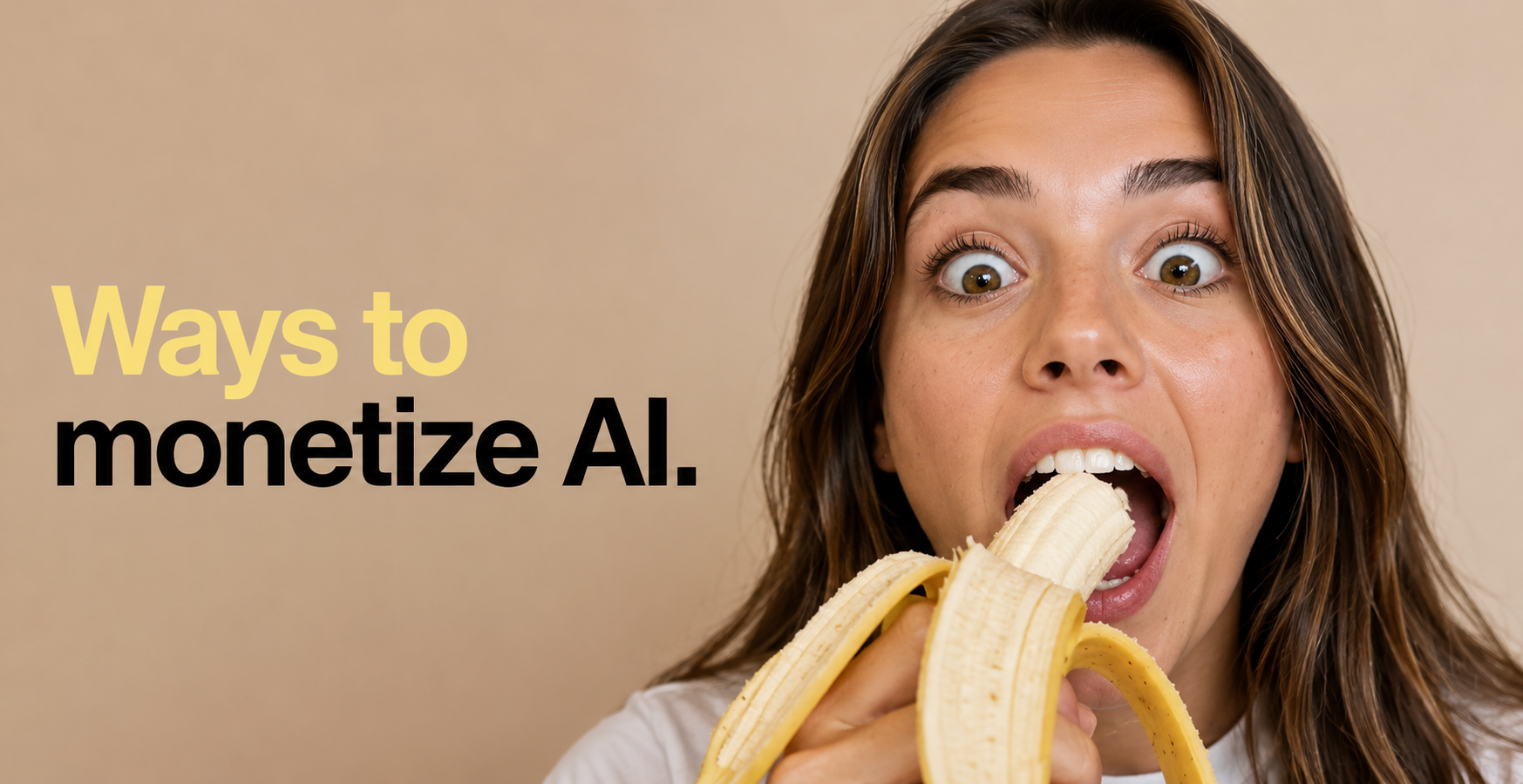 Ways to monetize AI.