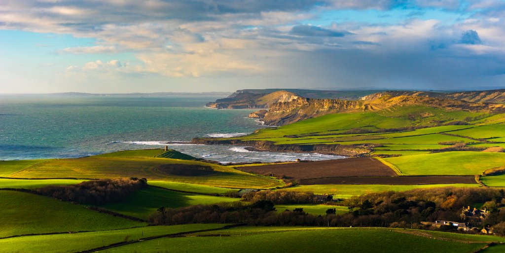 Dorset team