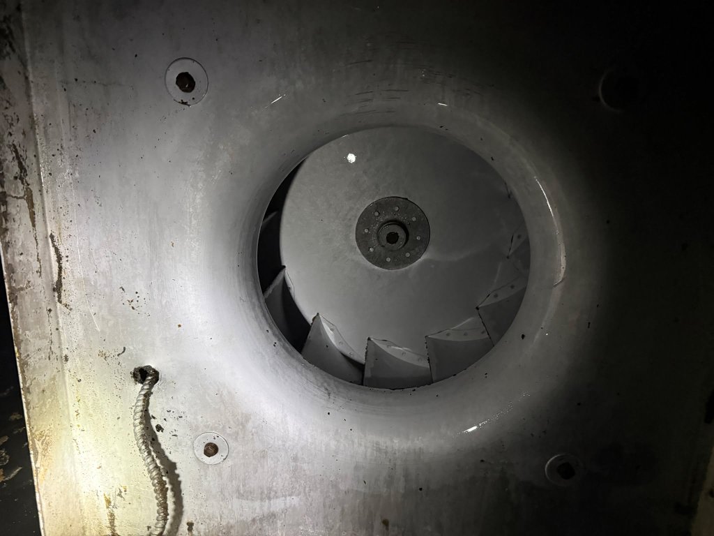 Cleaned exhaust blower wheel after service