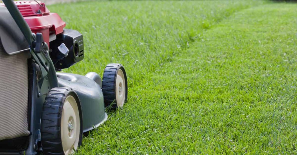 Lawn mowing service in Edina Minnesota