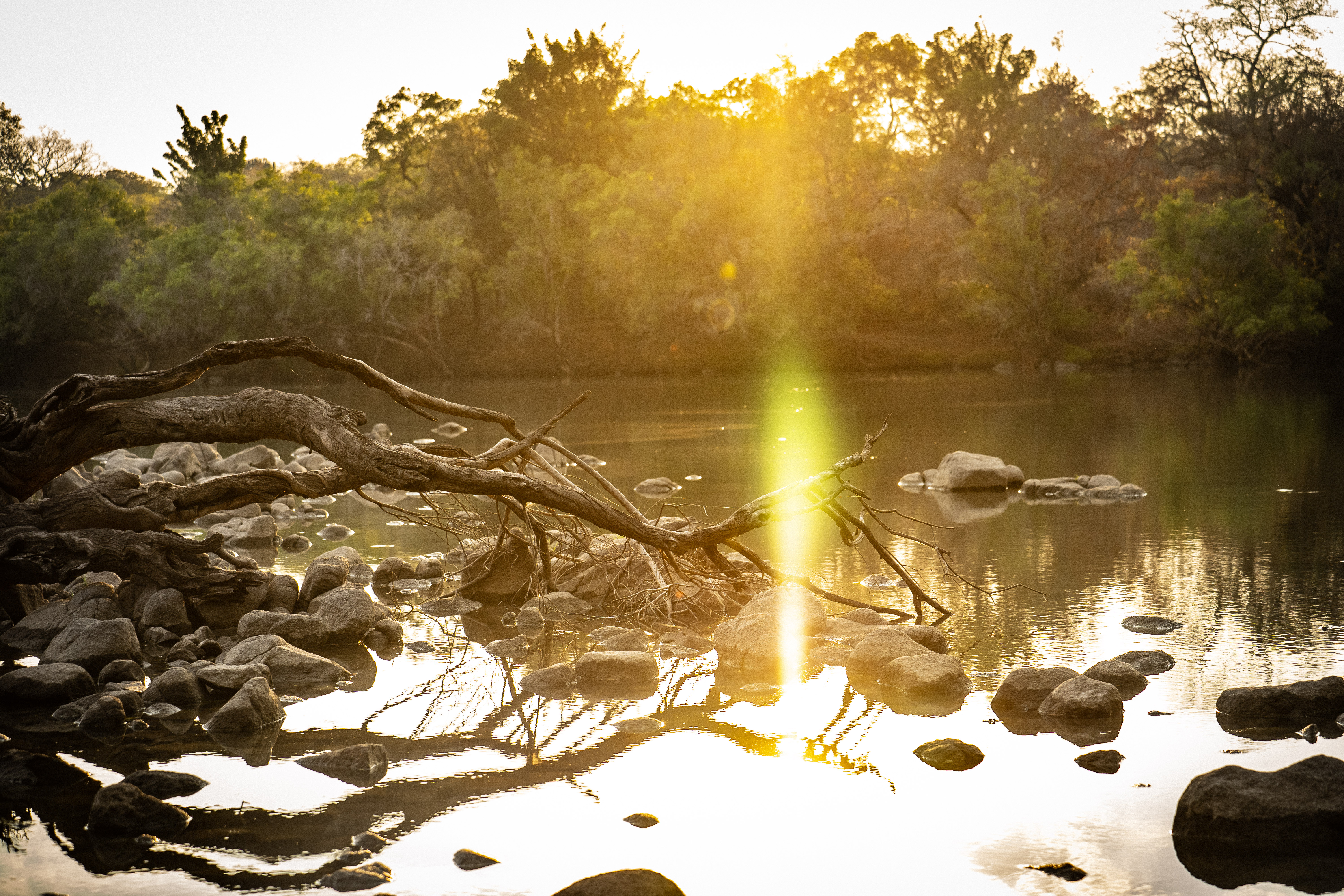Kafue National Park
