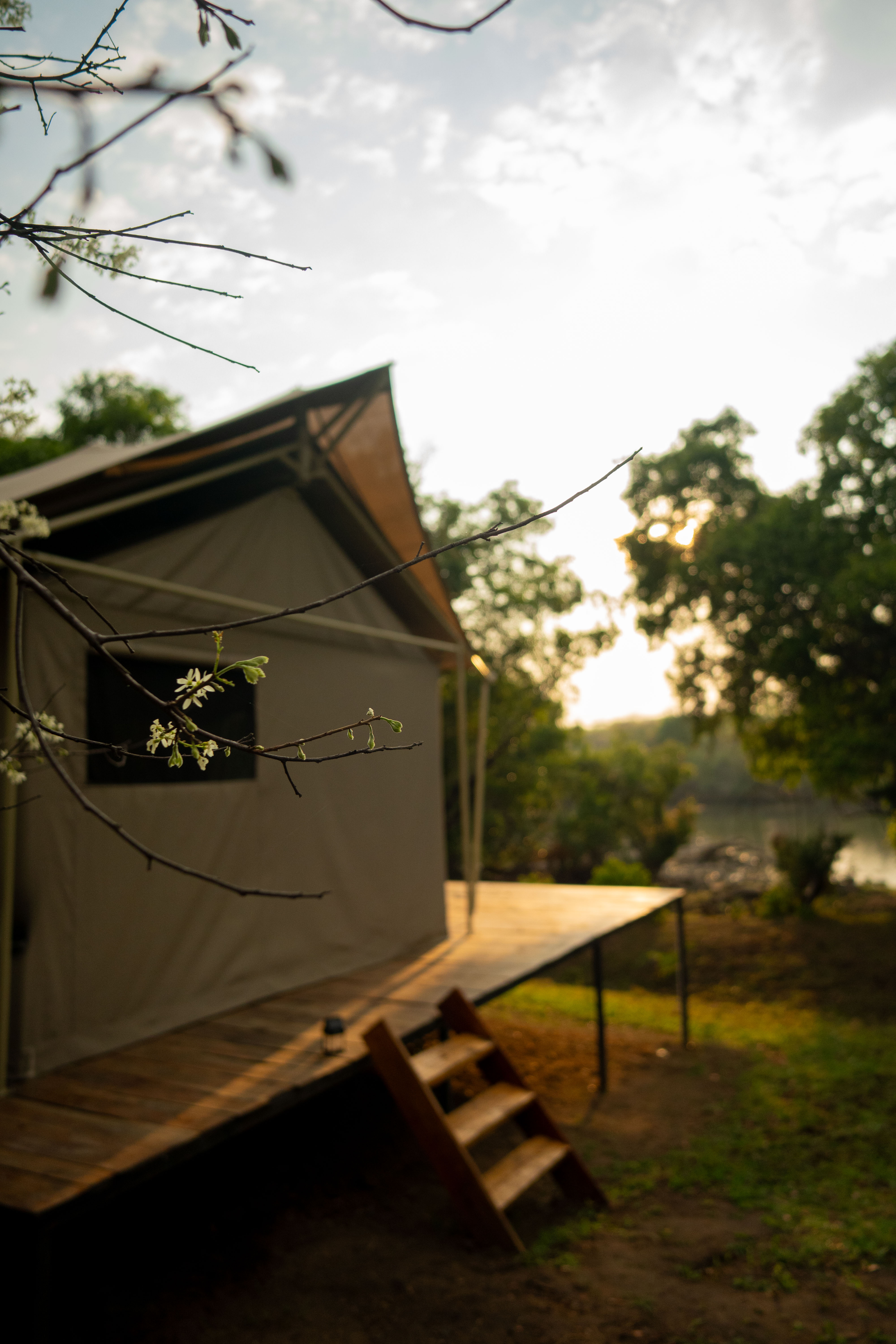 Safari tent on a raised wooden platform at golden hour