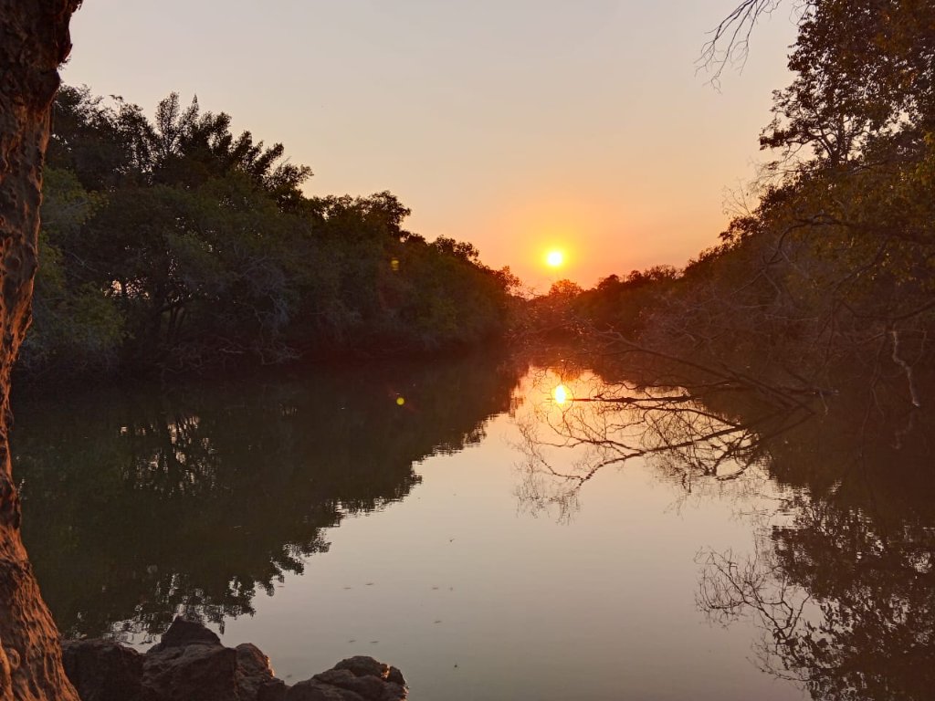 Sunset river scene with weathered tree trunk