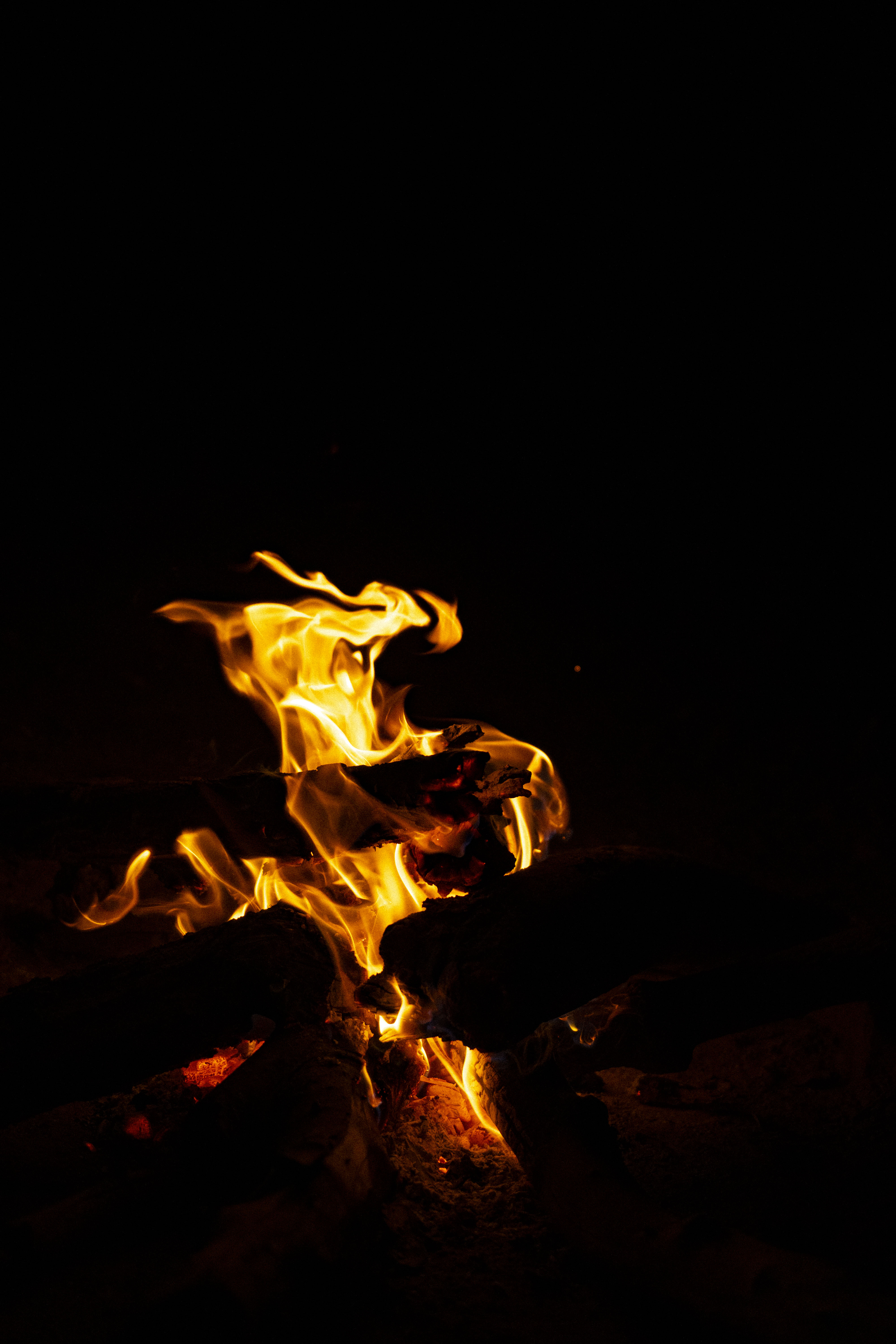 Crackling campfire under the night sky