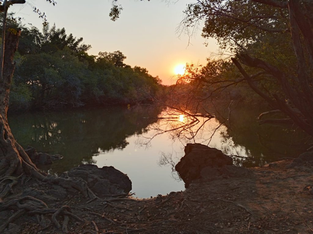 Golden sunset over the river