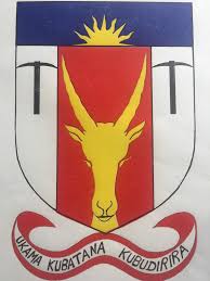 Buhera RDC Logo