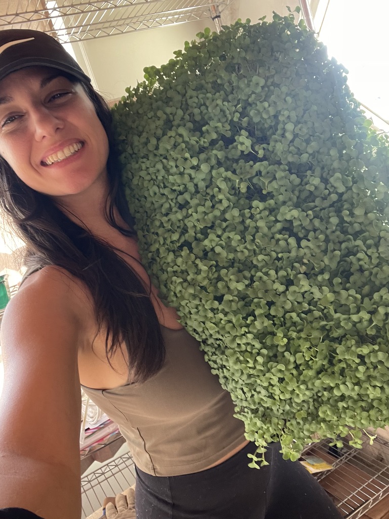 Twin Peas Farm