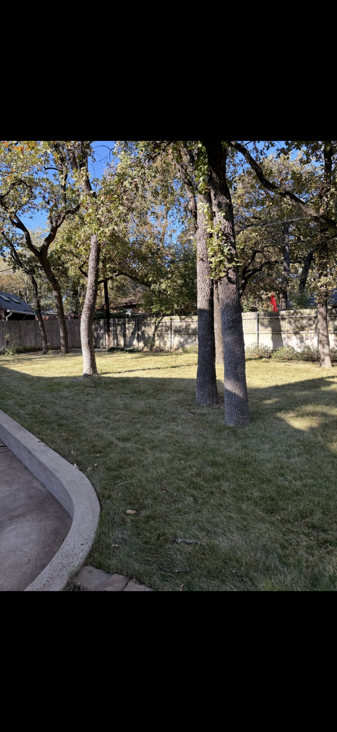 A clean, leaf-free property after service
