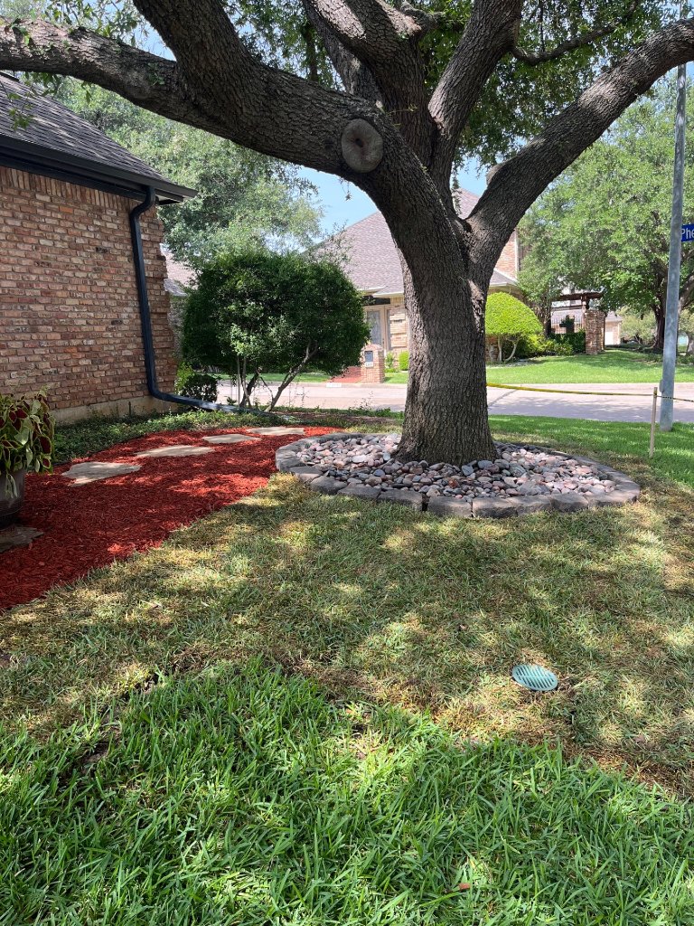 Sod Installation