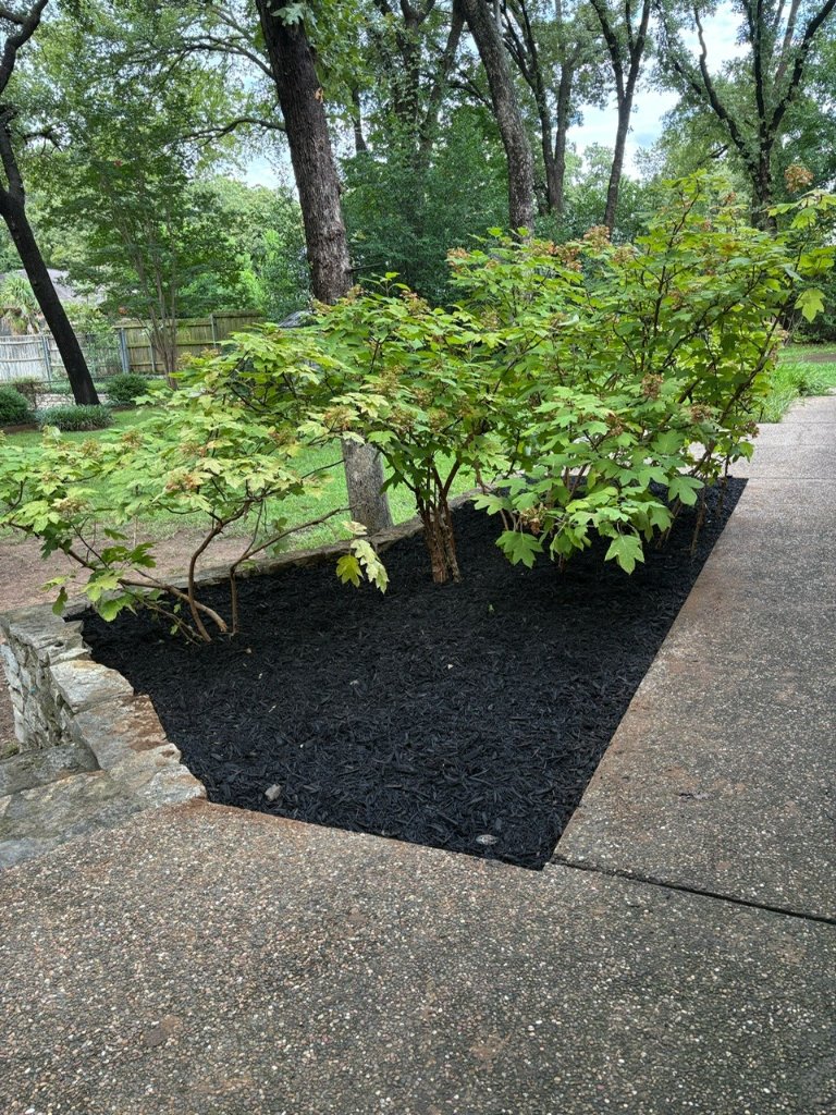 Mulch Installation