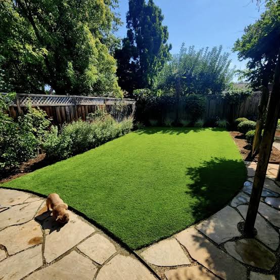 Artificial Turf