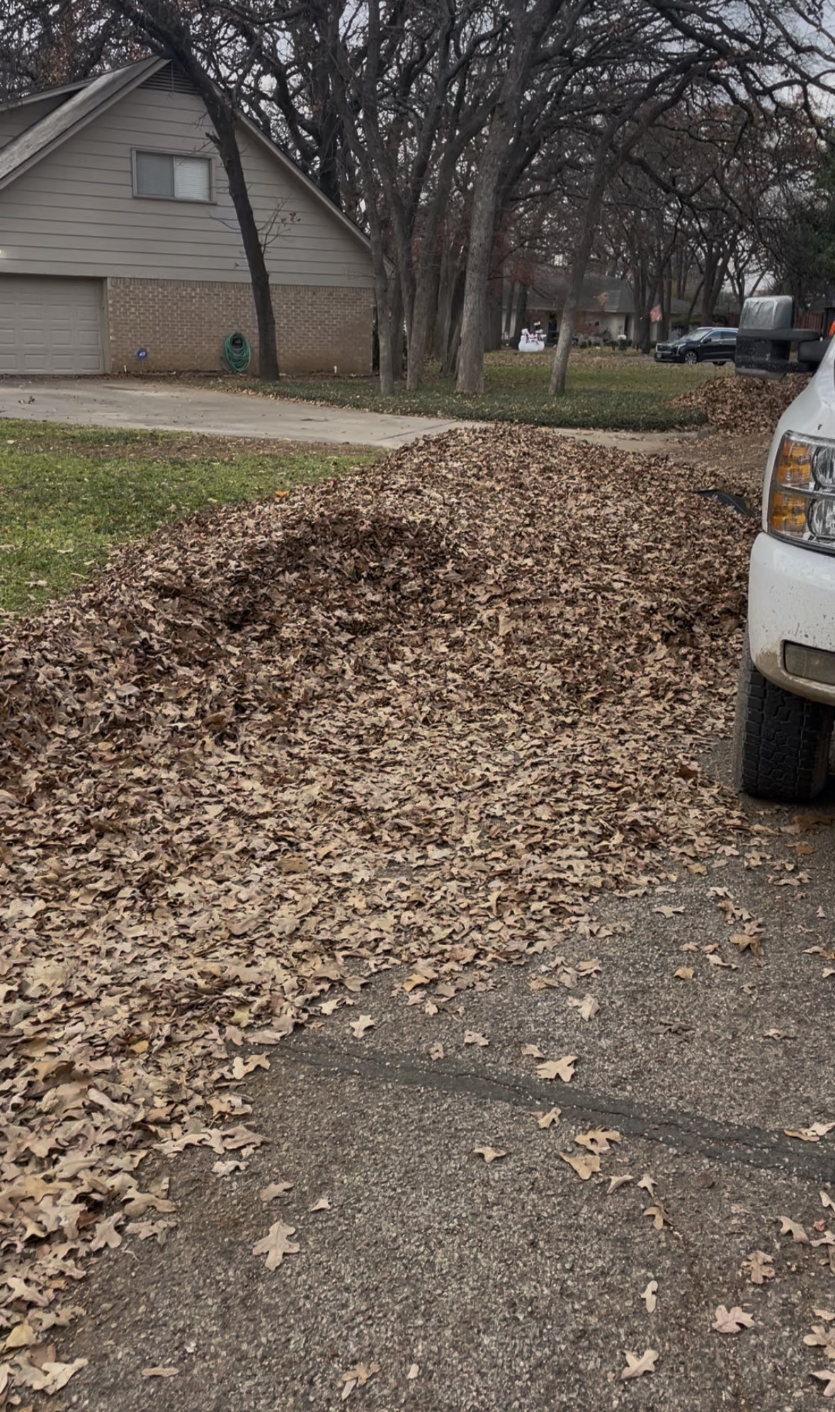 Visionary Outdoor Solutions vacuuming a curbside pile of leaves