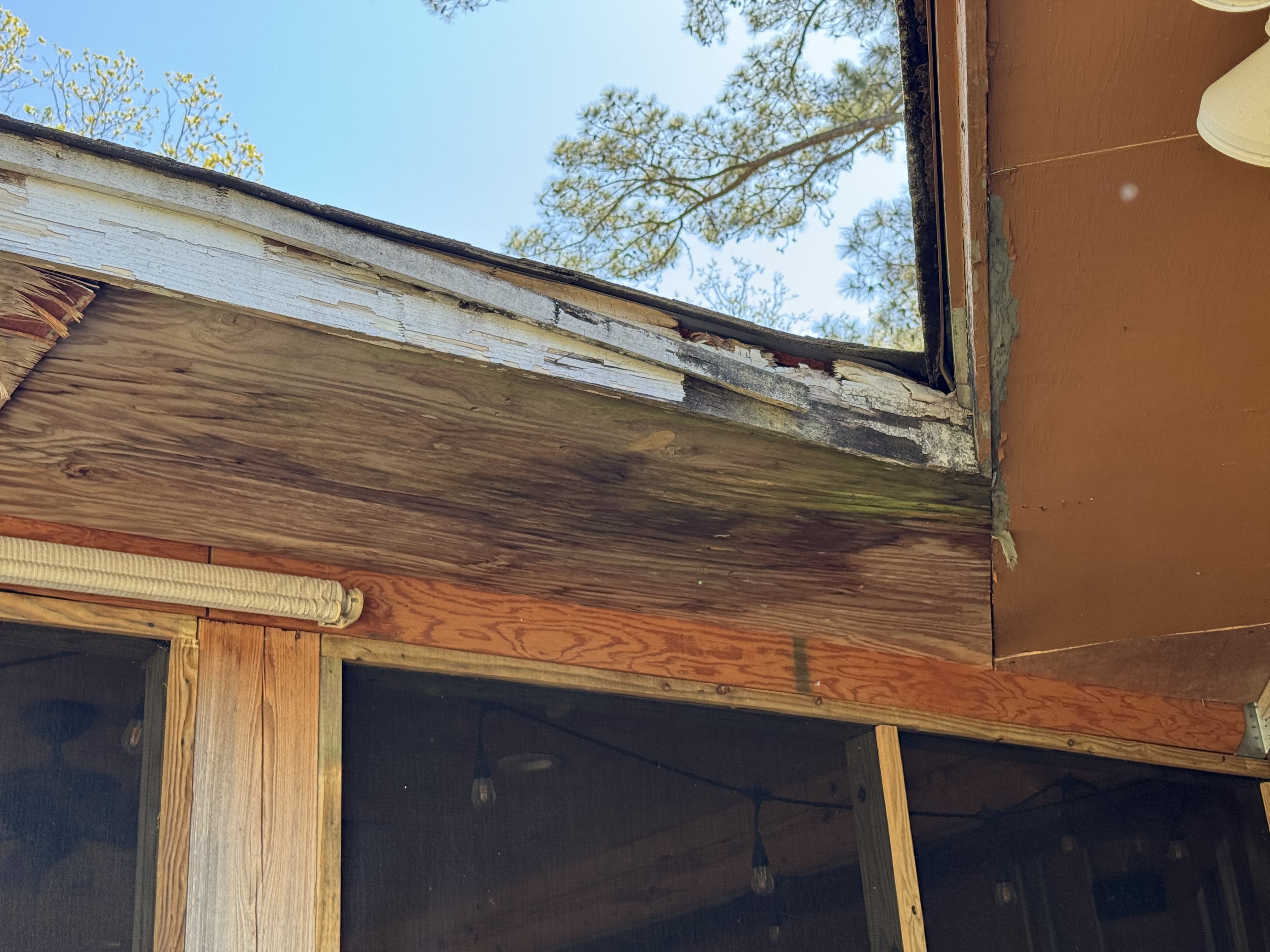 Rotted fascia board with peeling paint and missing section