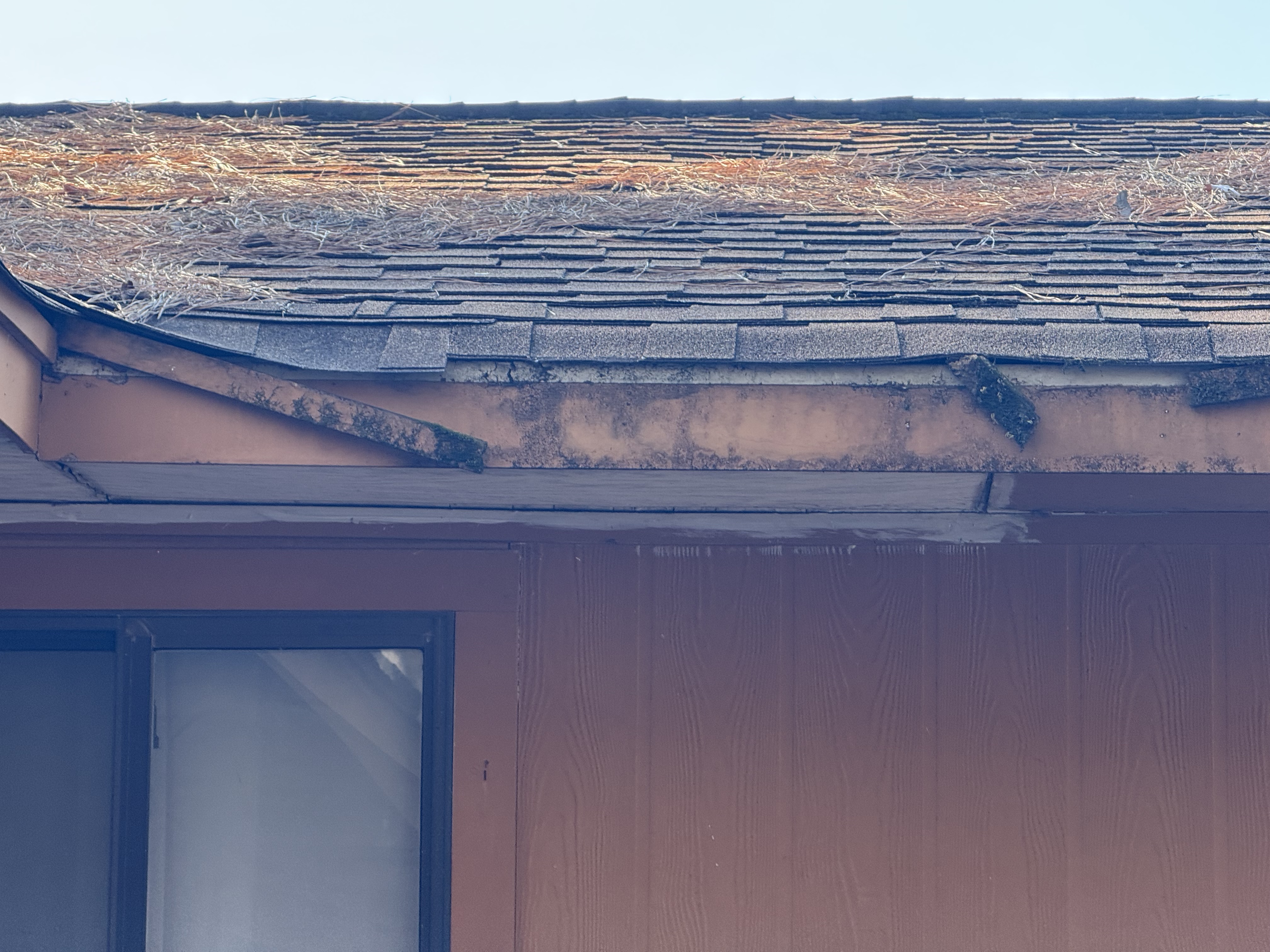 Dangling fascia strip with algae growth and debris