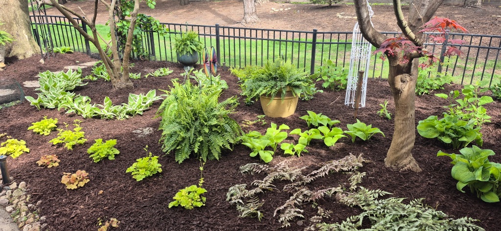 Tom & Elaine Russo's yard