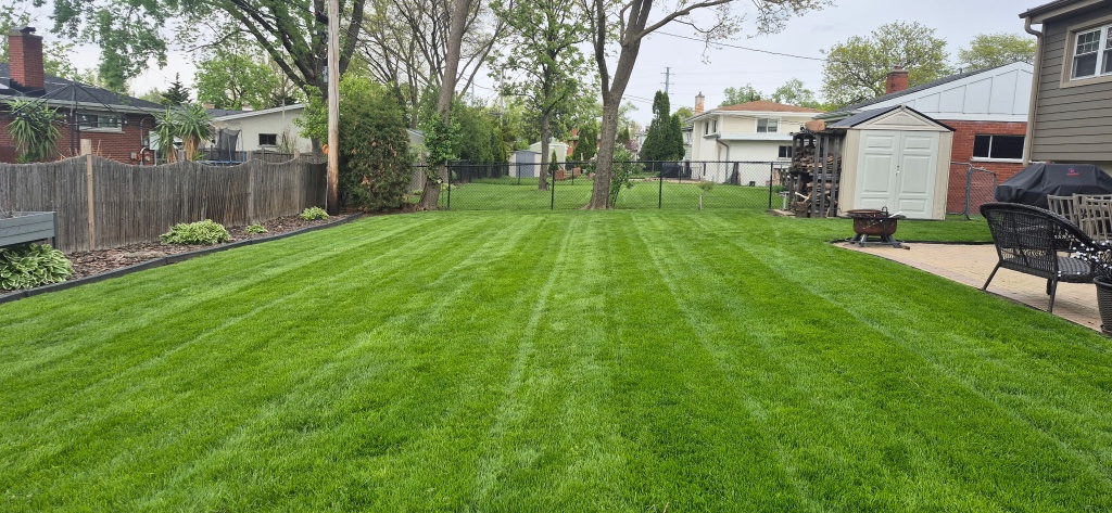 Anthony DeLuca's yard