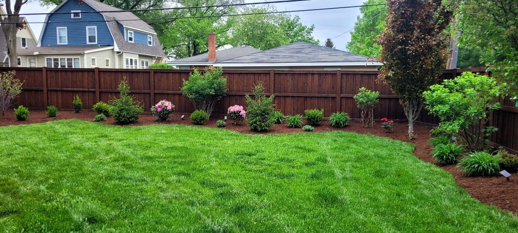Beautiful landscaped yard