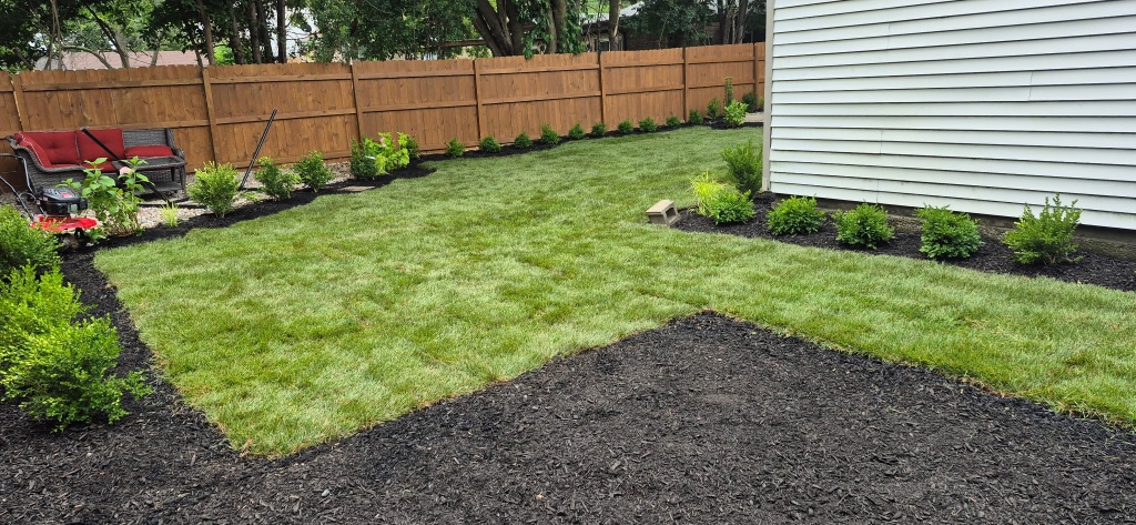 Patricia Morales's yard