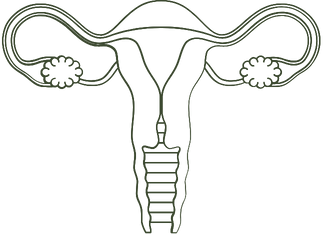 Ovarian & Metabolic Signalling