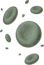 Circulation Support