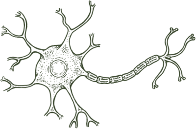 Nerve Comfort