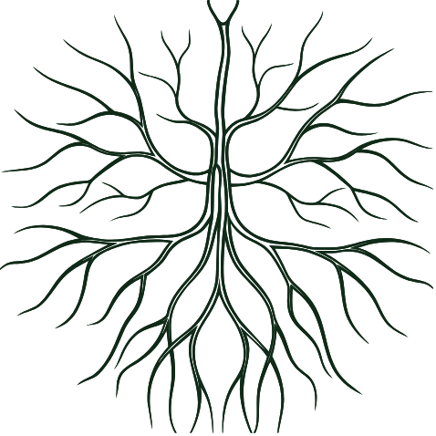 Nerve system visualization