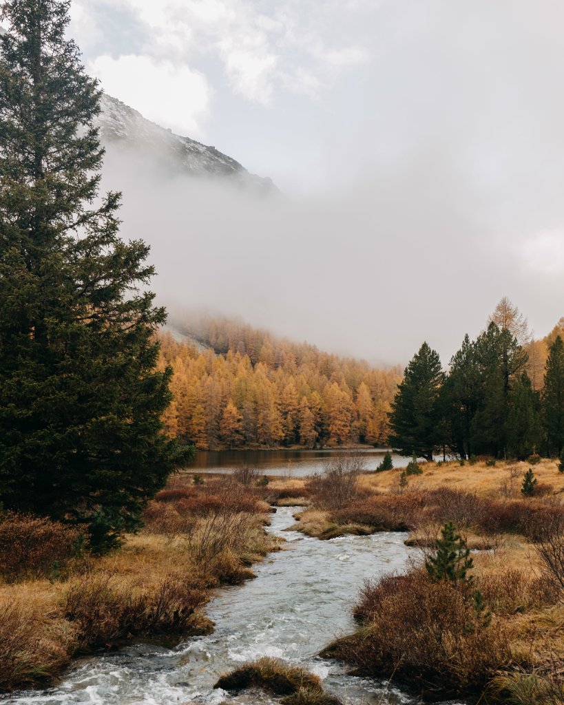 Back to the roots - reconnect with nature