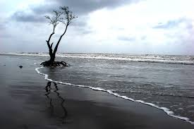 Henry Island