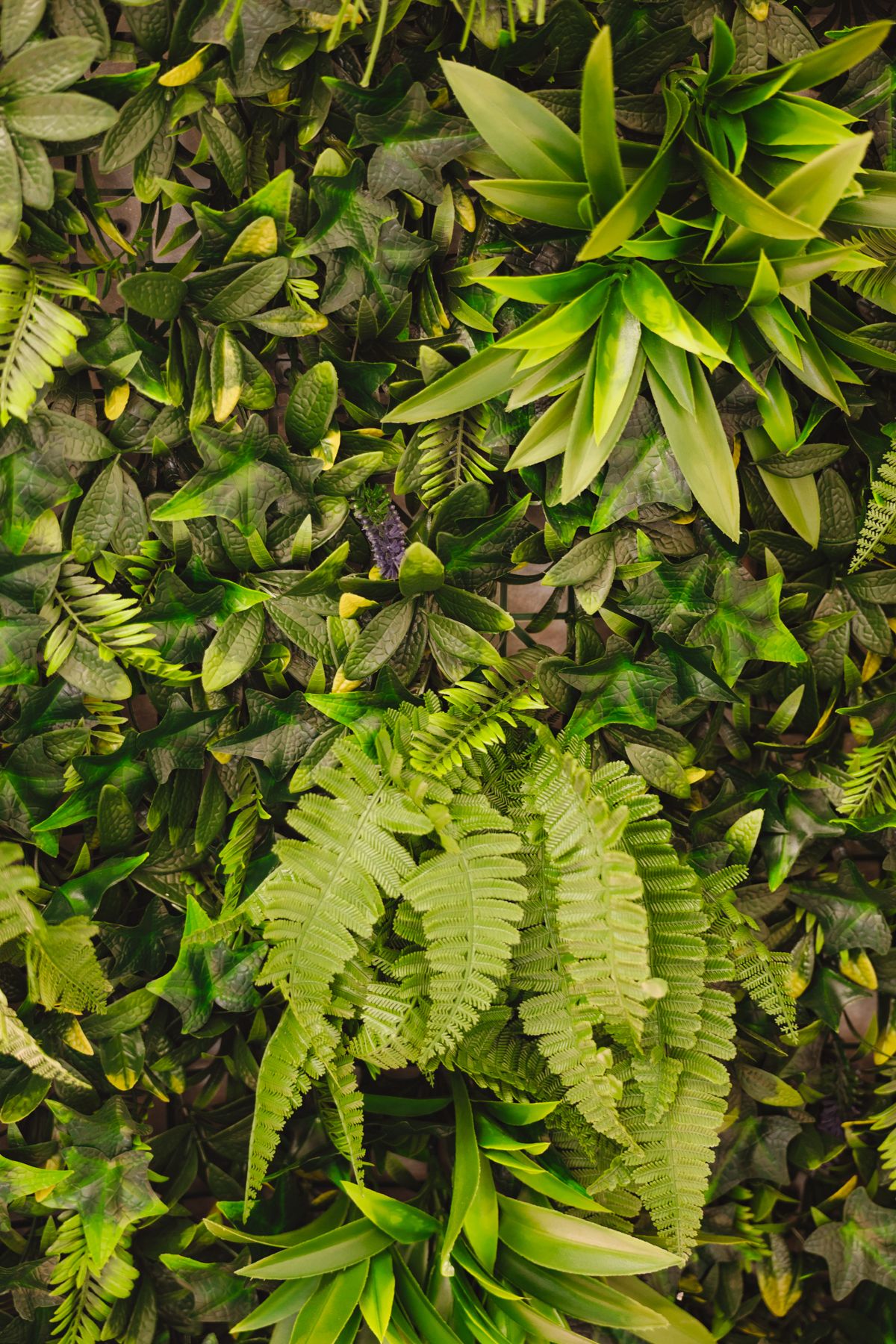 Muro verde natural de La Squadra Pizzería