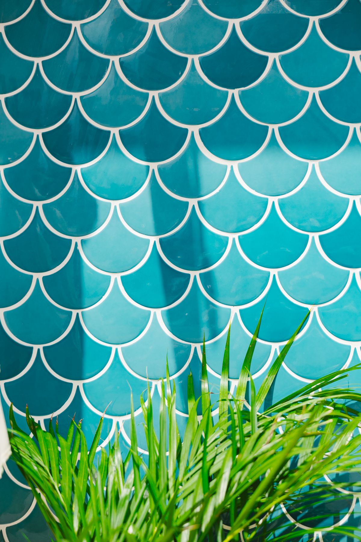Azulejos turquesa con planta natural