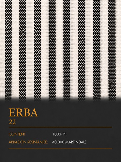 ERBA 22