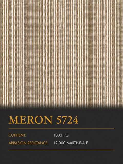 MERON 5724