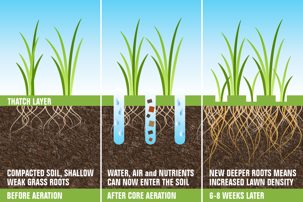Aeration and seeding process visualization