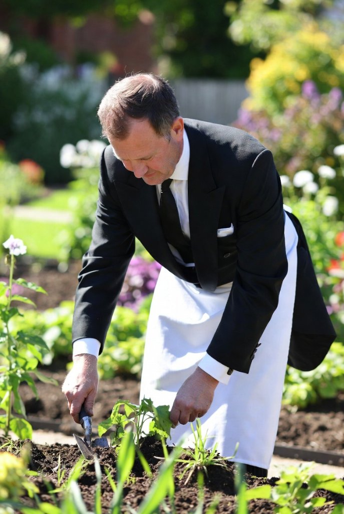 Property Butler - On Demand Weeding — BetterScapes