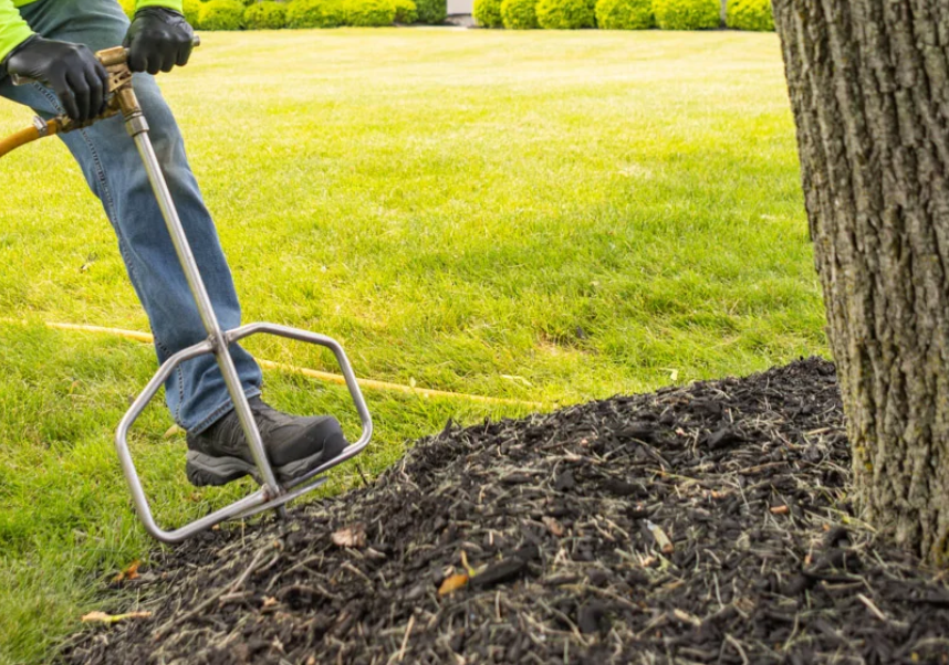 Tree & Shrub Fertilization — BetterScapes