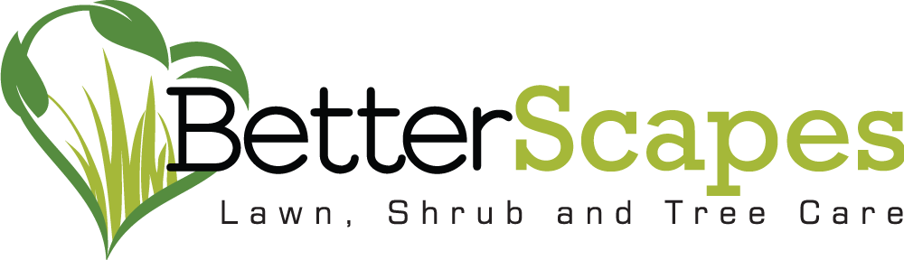 BetterScapes Logo