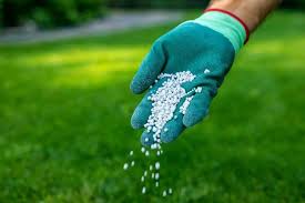 Premium Residential Lawn Treatments — BetterScapes