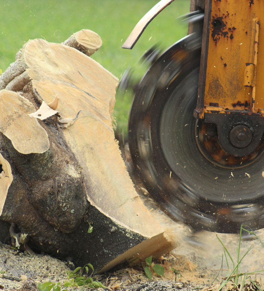 Stump Removal — BetterScapes