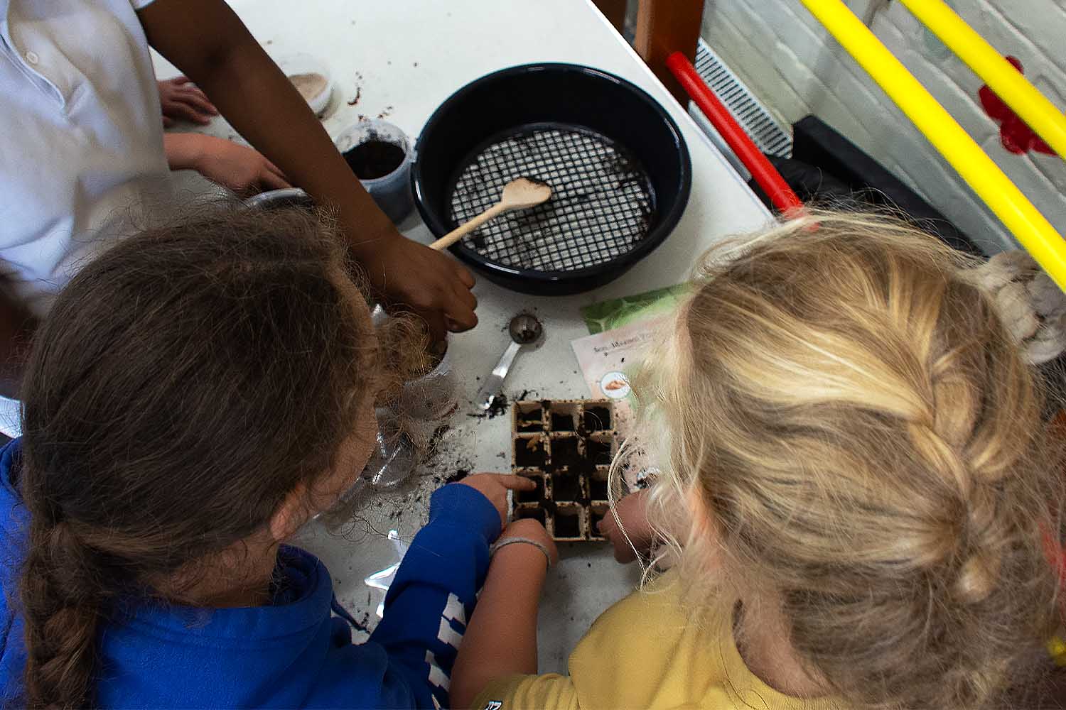 Planting seeds