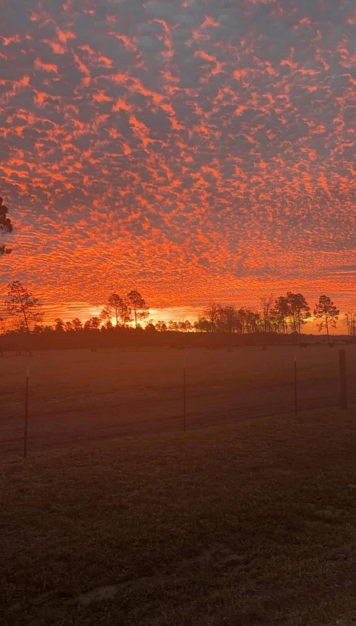 Southern horizon siteworks cover photo