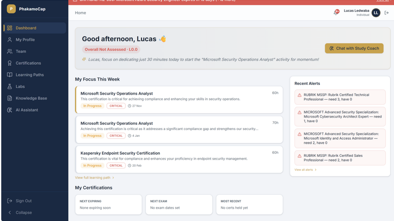 Technical Capability System template preview