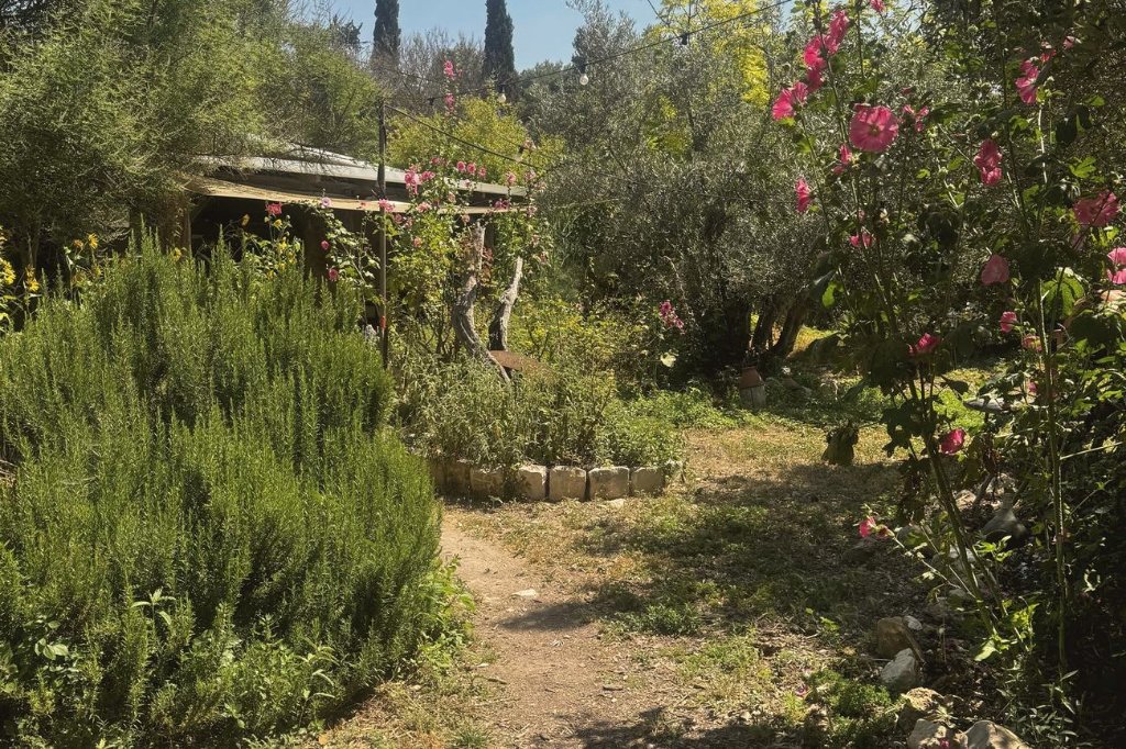 A healing farm under review in the north.
