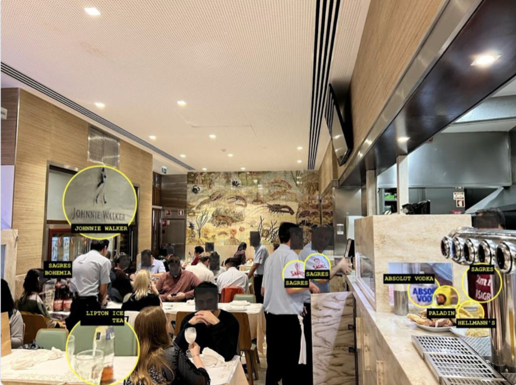 Evidência Visual - Análise de Menus e Marcas