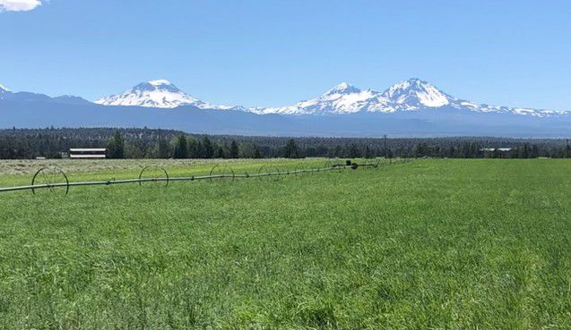 Central Oregon hay field 3