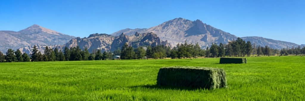 Central Oregon hay bales with Cascade Mountains