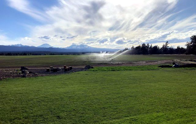 Central Oregon hay field 4