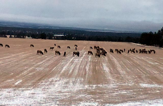 Central Oregon hay field 2