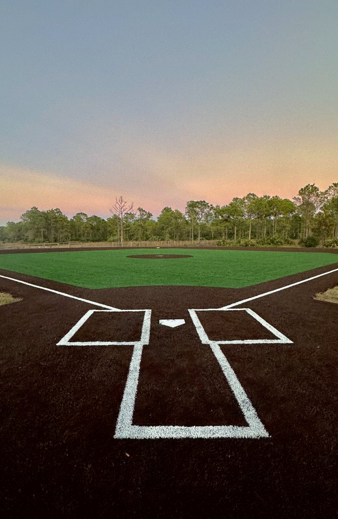 The Dojo MLB-grade turf infield
