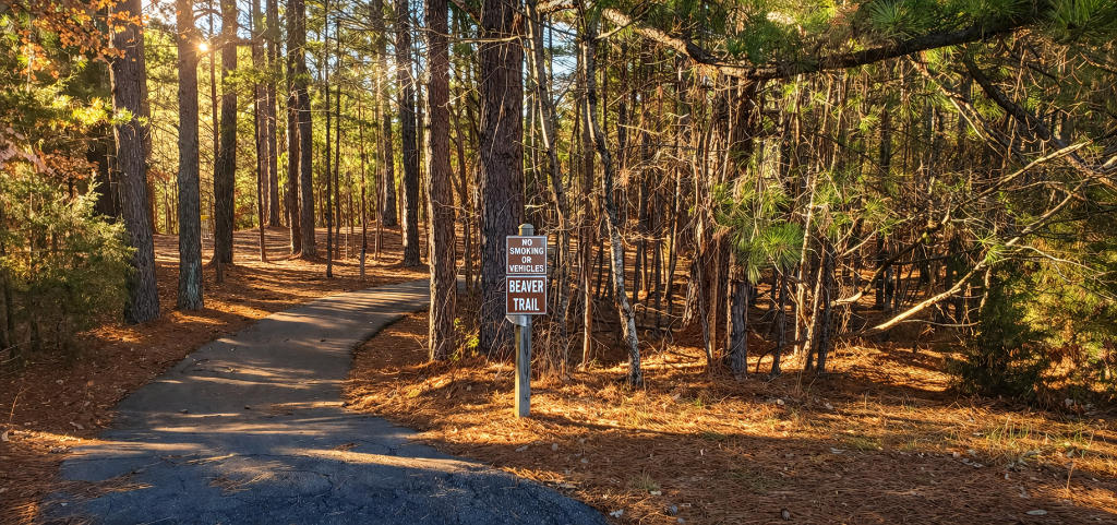 Nature trail at Hyco Lake