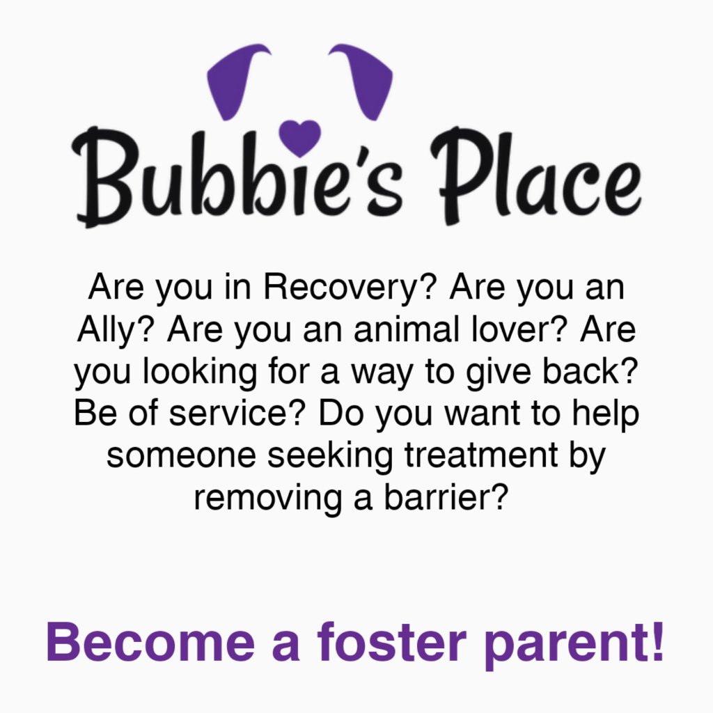 Become a foster parent — Bubbie's Place